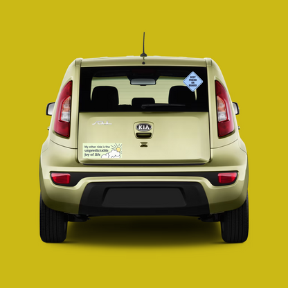 Joy of Life bumper sticker